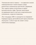 IMG_20240323_110052_539.jpg